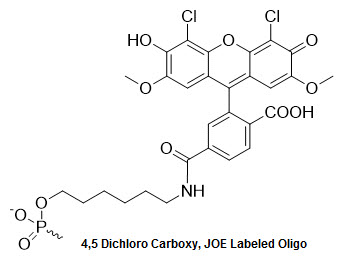 Bio-Synthesis Inc. Oligo Structure